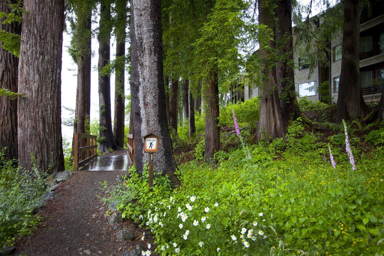 Lake Quinault Lodge Екстериор снимка